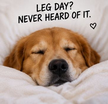 DOGNOLEGS sleeping — Leg day? Never heard of it