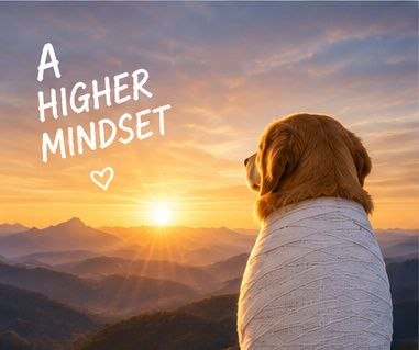 DOGNOLEGS watching the sunrise — A higher mindset
