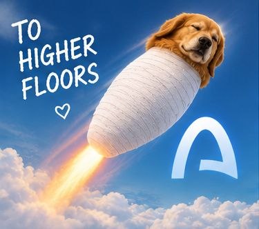 DOGNOLEGS rocketing toward higher floors