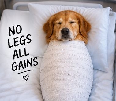 DOGNOLEGS resting — No legs, all gains